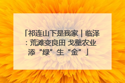 祁连山下是我家｜临泽：荒滩变良田 戈壁农业添“绿”生“金”