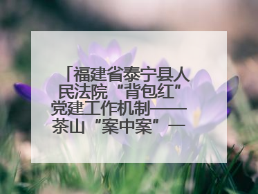 福建省泰宁县人民法院“背包红”党建工作机制——茶山“案中案”一揽子了结