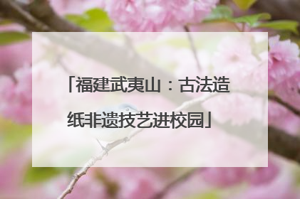 福建武夷山：古法造纸非遗技艺进校园
