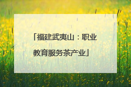 福建武夷山：职业教育服务茶产业