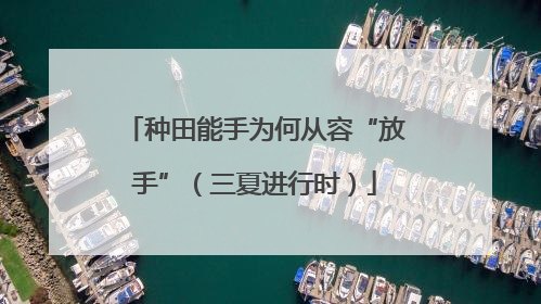 种田能手为何从容“放手”（三夏进行时）