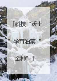 科技“沃土”孕育油菜“金种”