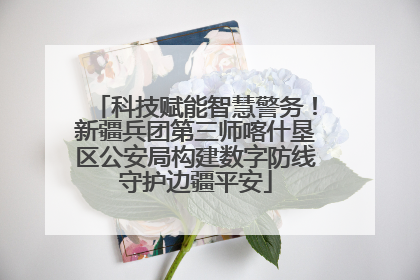 科技赋能智慧警务！新疆兵团第三师喀什垦区公安局构建数字防线守护边疆平安