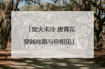 窑火未冷 唐青花穿越丝路与你相见