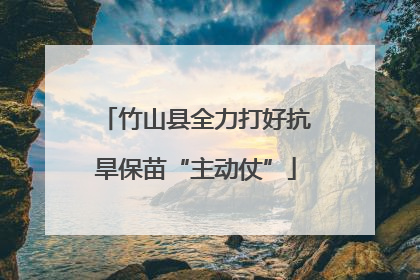 竹山县全力打好抗旱保苗“主动仗”