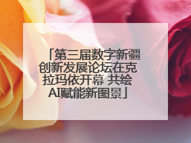 第三届数字新疆创新发展论坛在克拉玛依开幕 共绘AI赋能新图景