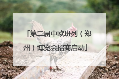 第二届中欧班列（郑州）博览会招商启动