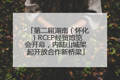 第二届湖南（怀化）RCEP经贸博览会开幕，内陆山城架起开放合作新桥梁