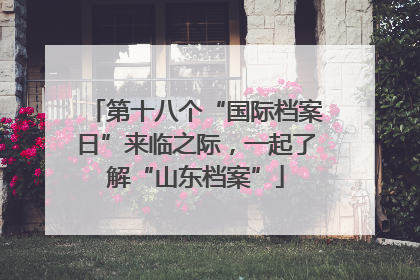 第十八个“国际档案日”来临之际，一起了解“山东档案”
