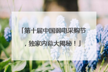 第十届中国弱电采购节，独家内幕大揭秘！