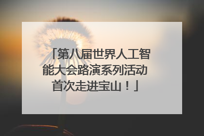 第八届世界人工智能大会路演系列活动首次走进宝山！