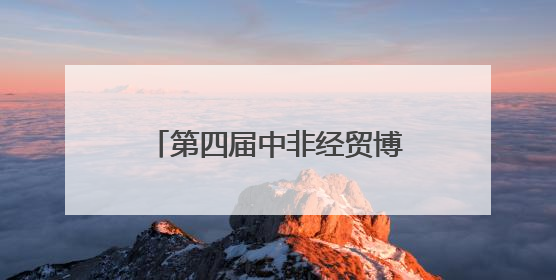 第四届中非经贸博览会非洲外宾代表团考察中伟宁乡基地
