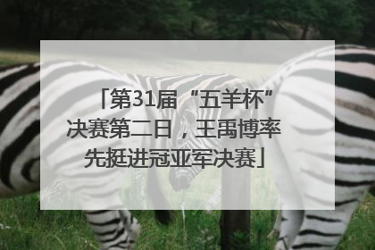 第31届“五羊杯”决赛第二日，王禹博率先挺进冠亚军决赛