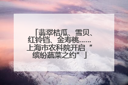 翡翠桔瓜、雪贝、红铃铛、金寿桃……上海市农科院开启“缤纷蔬菜之约”