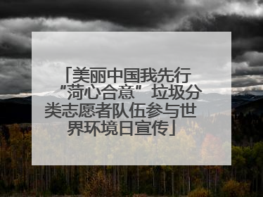 美丽中国我先行 “菏心合意”垃圾分类志愿者队伍参与世界环境日宣传