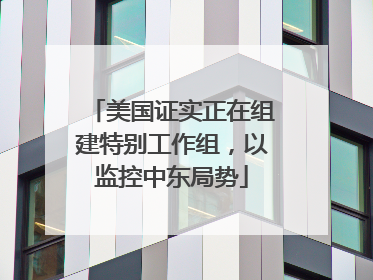 美国证实正在组建特别工作组，以监控中东局势