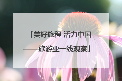 美好旅程 活力中国——旅游业一线观察