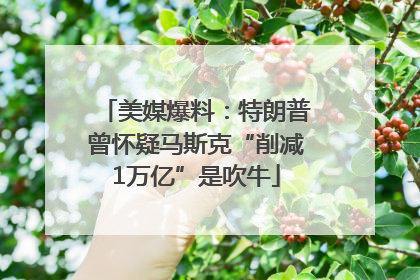 美媒爆料：特朗普曾怀疑马斯克“削减1万亿”是吹牛