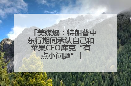 美媒爆：特朗普中东行期间承认自己和苹果CEO库克“有点小问题”
