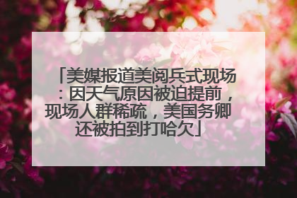 美媒报道美阅兵式现场：因天气原因被迫提前，现场人群稀疏，美国务卿还被拍到打哈欠