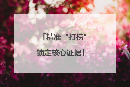 精准“打捞”锁定核心证据
