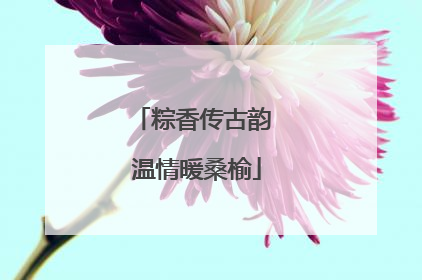 粽香传古韵 温情暖桑榆