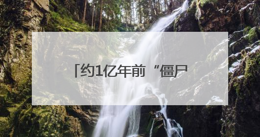 约1亿年前“僵尸昆虫”，长这样！