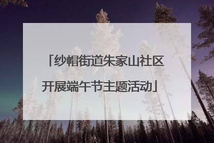 纱帽街道朱家山社区开展端午节主题活动