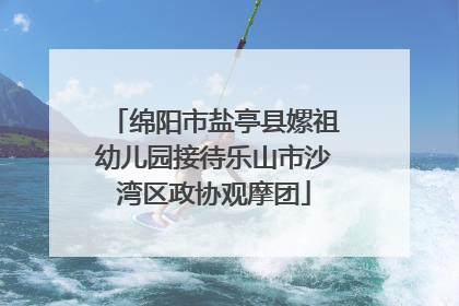 绵阳市盐亭县嫘祖幼儿园接待乐山市沙湾区政协观摩团