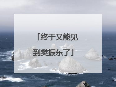 终于又能见到樊振东了
