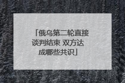俄乌第二轮直接谈判结束 双方达成哪些共识