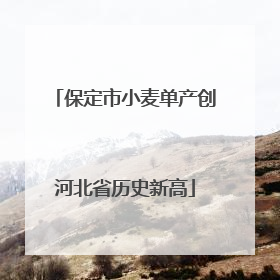 保定市小麦单产创河北省历史新高