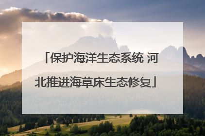 保护海洋生态系统 河北推进海草床生态修复