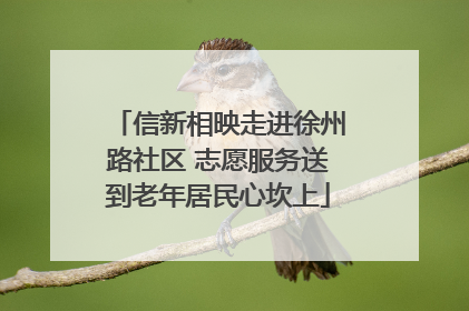 信新相映走进徐州路社区 志愿服务送到老年居民心坎上