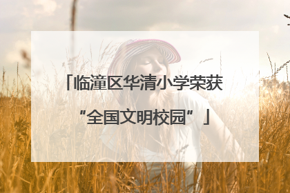 临潼区华清小学荣获“全国文明校园”