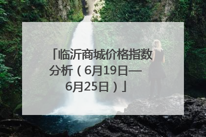 临沂商城价格指数分析（6月19日—6月25日）