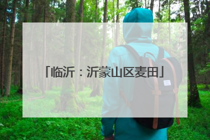临沂：沂蒙山区麦田
