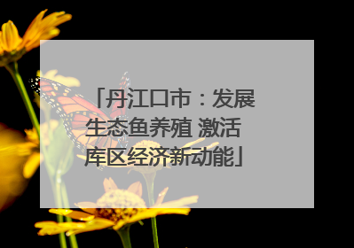 丹江口市：发展生态鱼养殖 激活库区经济新动能