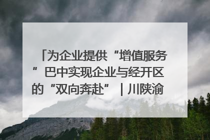为企业提供“增值服务”巴中实现企业与经开区的“双向奔赴”｜川陕渝网络名人巴中行
