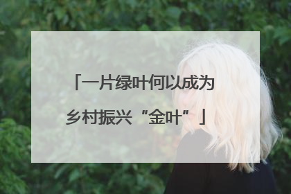 一片绿叶何以成为乡村振兴“金叶”