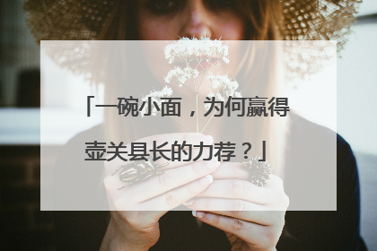 一碗小面，为何赢得壶关县长的力荐？