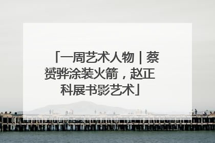 一周艺术人物｜蔡赟骅涂装火箭，赵正科展书影艺术