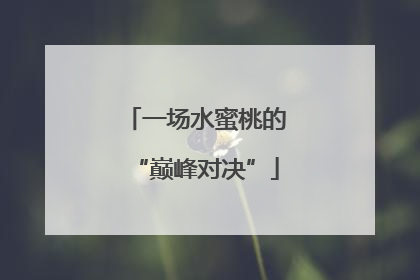 一场水蜜桃的“巅峰对决”