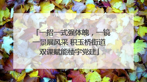 一招一式强体魄，一镜一景展风采 积玉桥街道双课赋能楼宇党建