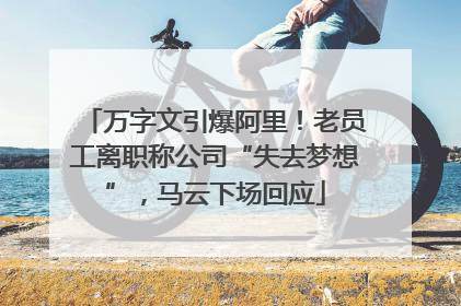 万字文引爆阿里！老员工离职称公司“失去梦想”，马云下场回应