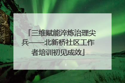 三维赋能淬炼治理尖兵——北新桥社区工作者培训初见成效