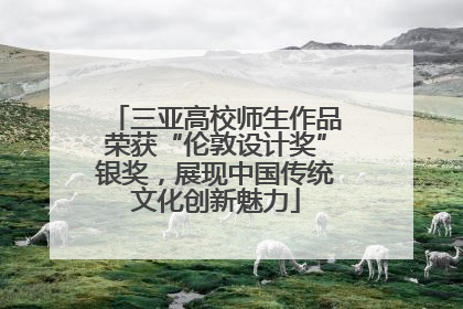 三亚高校师生作品荣获“伦敦设计奖”银奖，展现中国传统文化创新魅力
