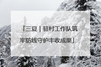 三夏｜驻村工作队筑牢防线守护丰收成果