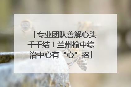 专业团队善解心头千千结！兰州榆中综治中心有“心”招