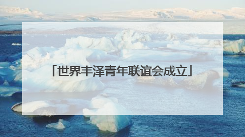 世界丰泽青年联谊会成立